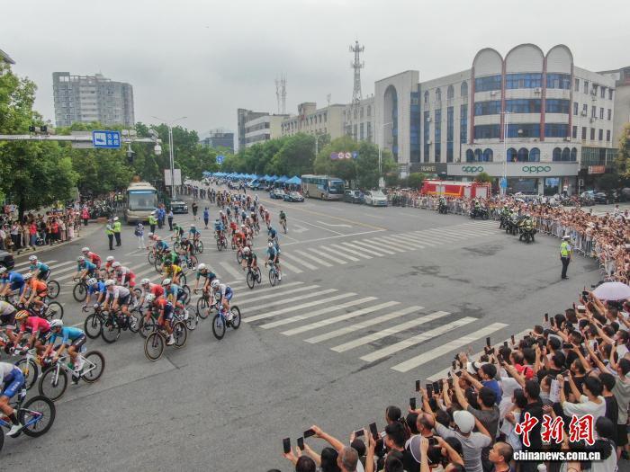 路段中