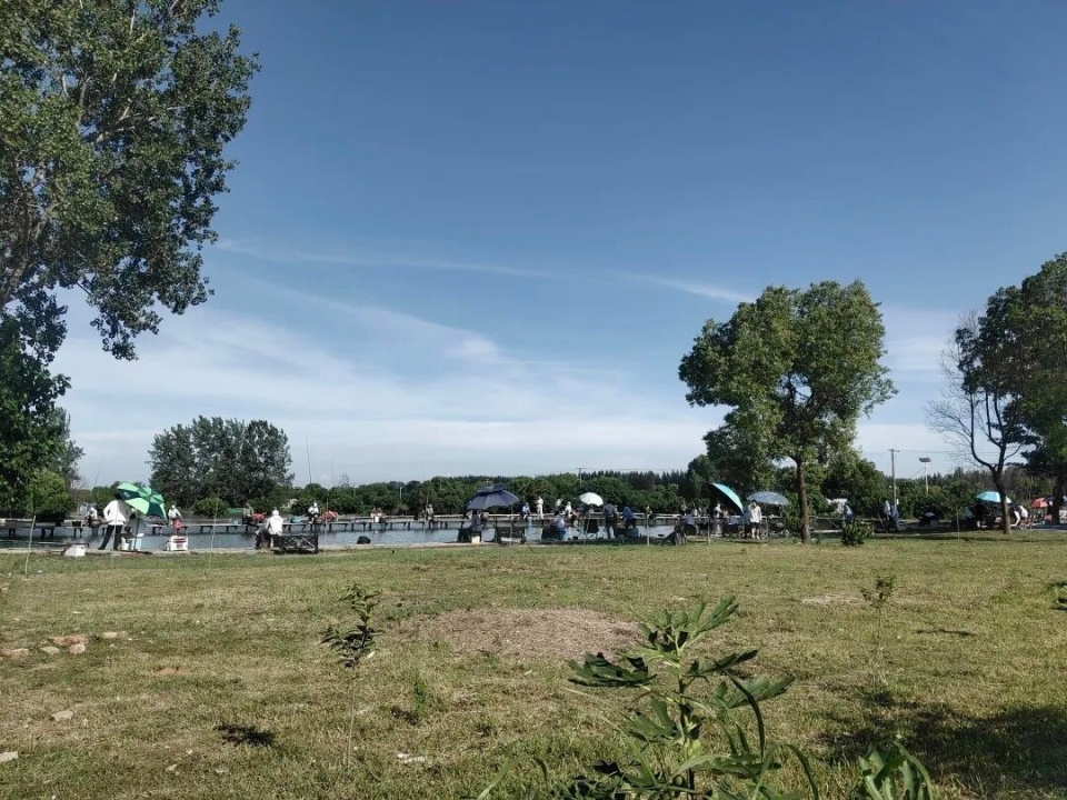 KlTW, 鱼运动, 出品 KlTW, 鱼运动, 出品